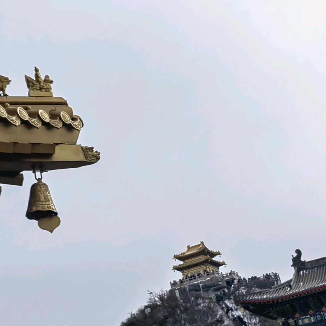 臻诚装饰—王莉