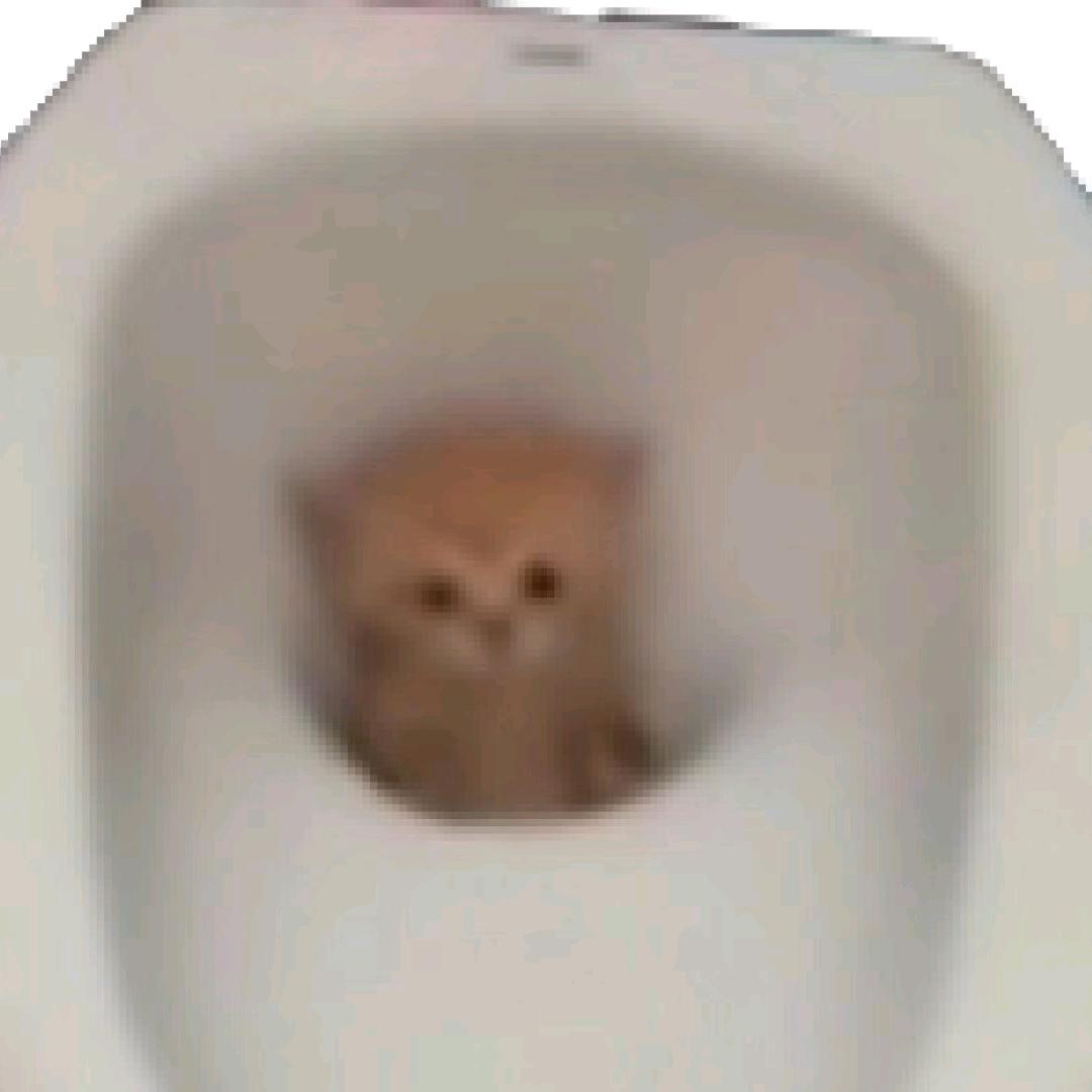奶桶小咖