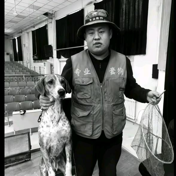 电狗李师傅（专业电狗20年）