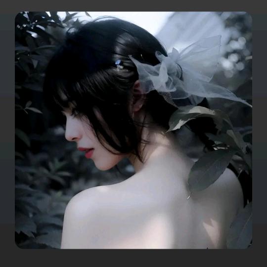 不会飞的鱼🧜🏼‍♀️