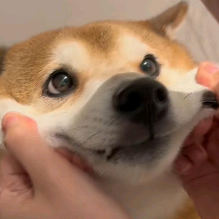 夕映余晖头像