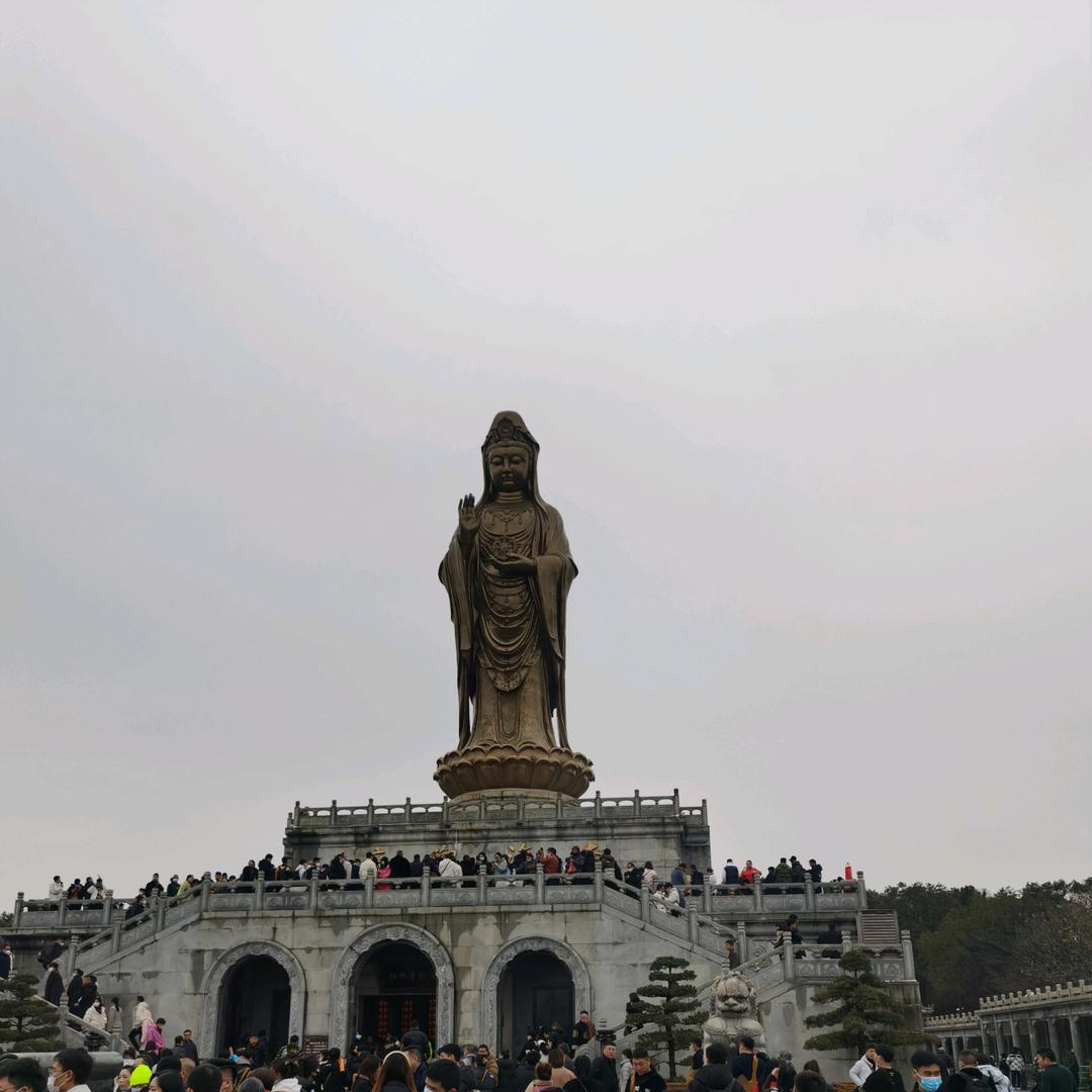 于红青