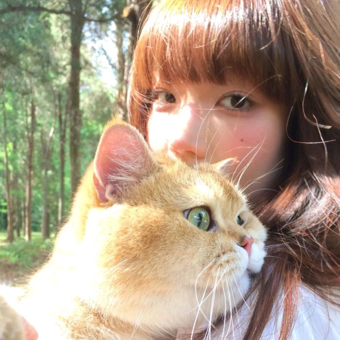 捏捏nie（彤款👀备井