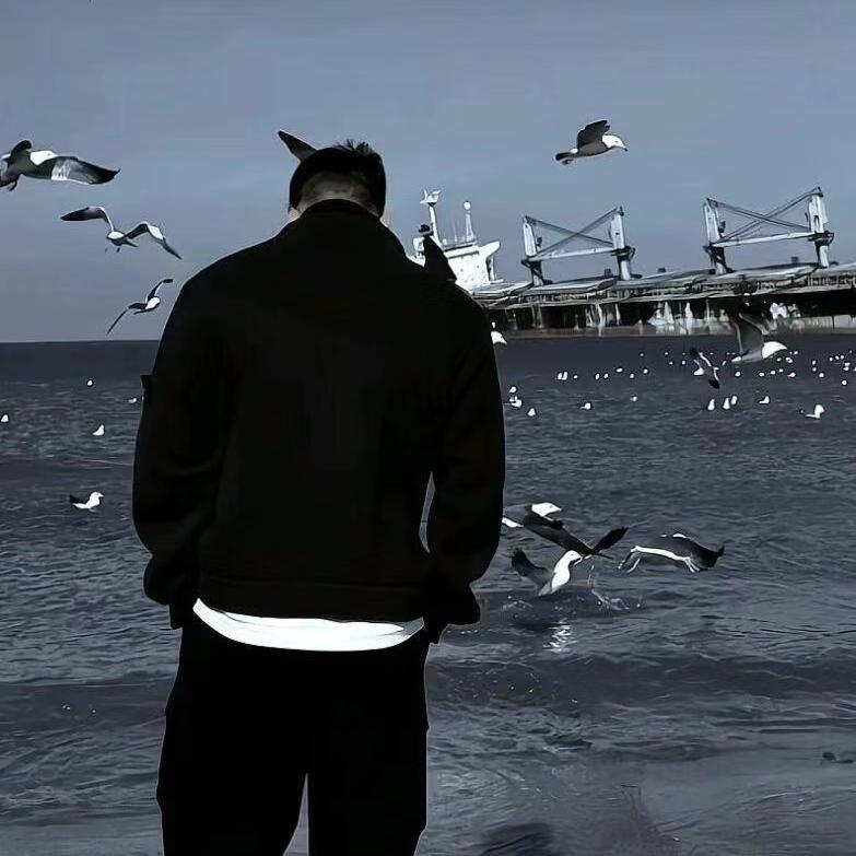 𝒀𝒐𝒍𝒐@抖音