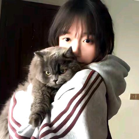 芊雅百货