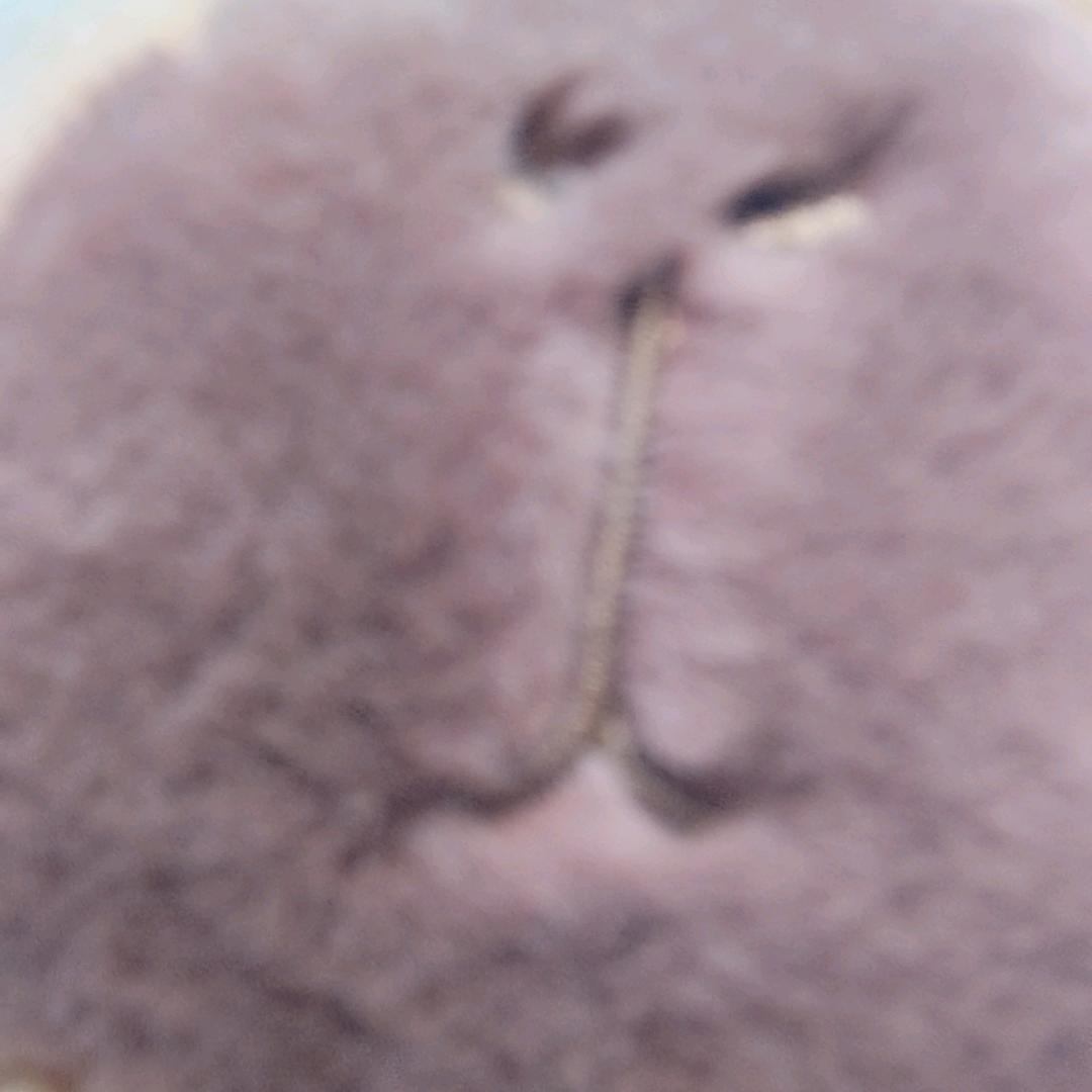 萍萍