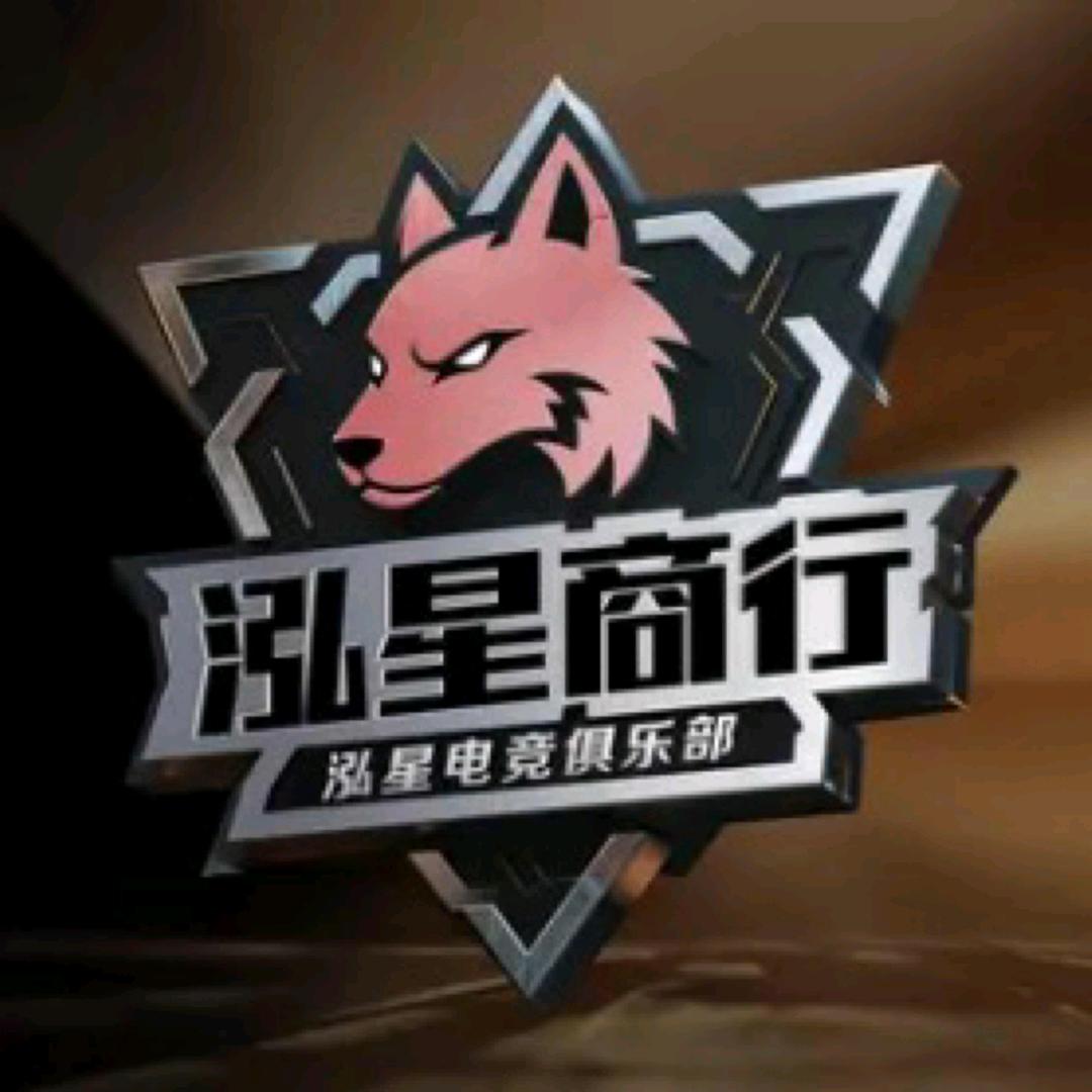 泓星商行（三角洲行动）董事长版