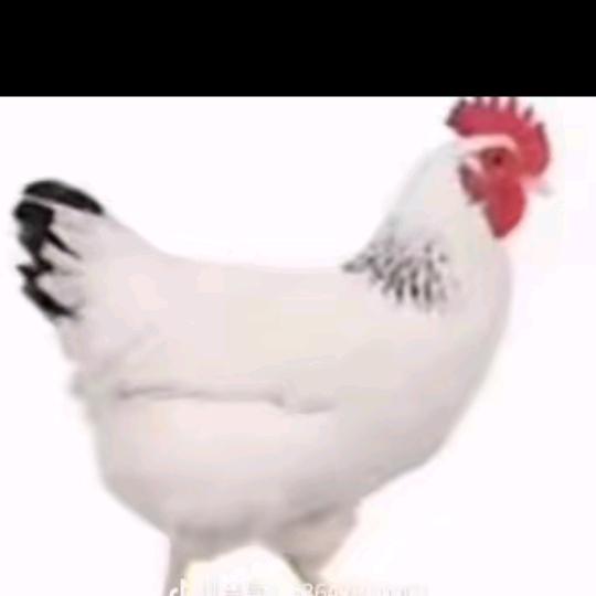 ღ᭄好運ꫛ加滿💞