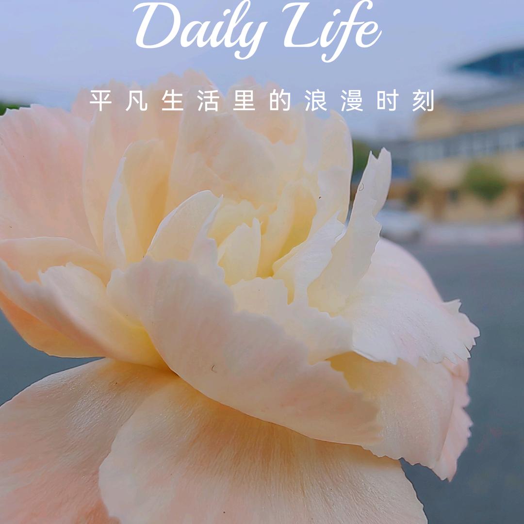 黄氏生煎(金湖星城店)官方号