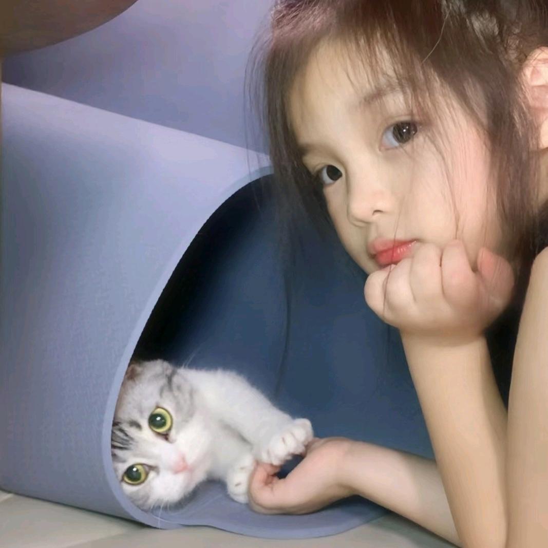 茶茶子i
