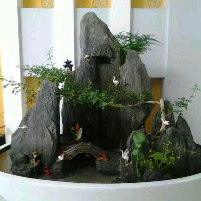 山支鑫
