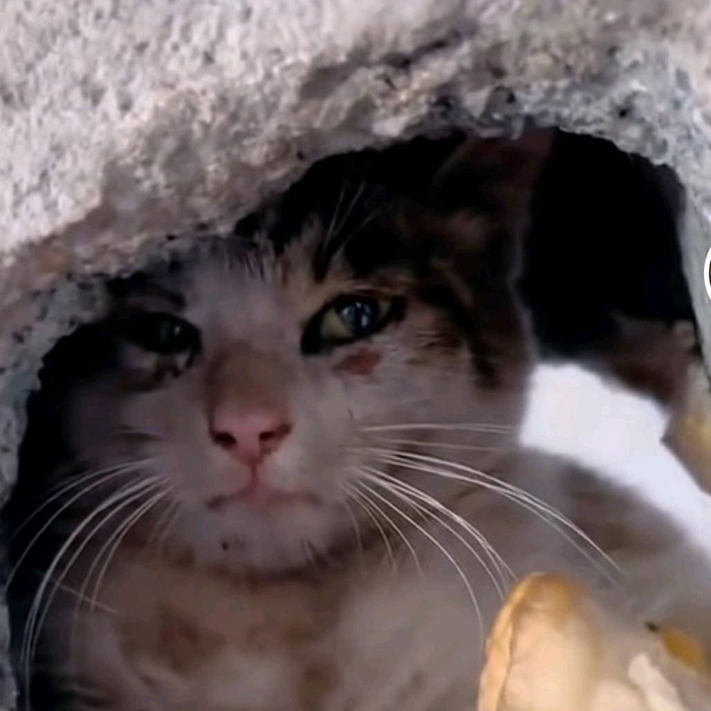 听琴声抚断我的殇