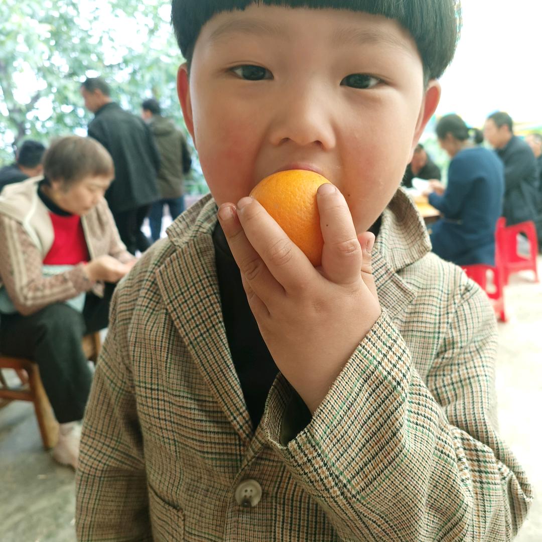 🌸🌸🌸🌸后香🌺🌺🌺🌺