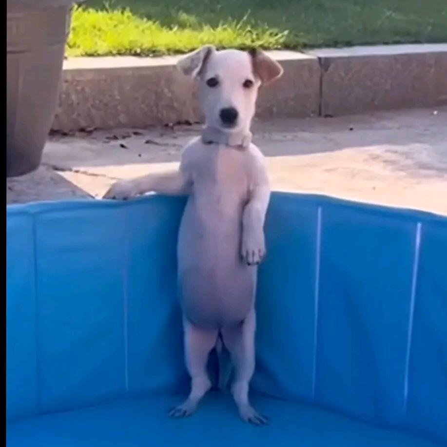 孤独的根号三～