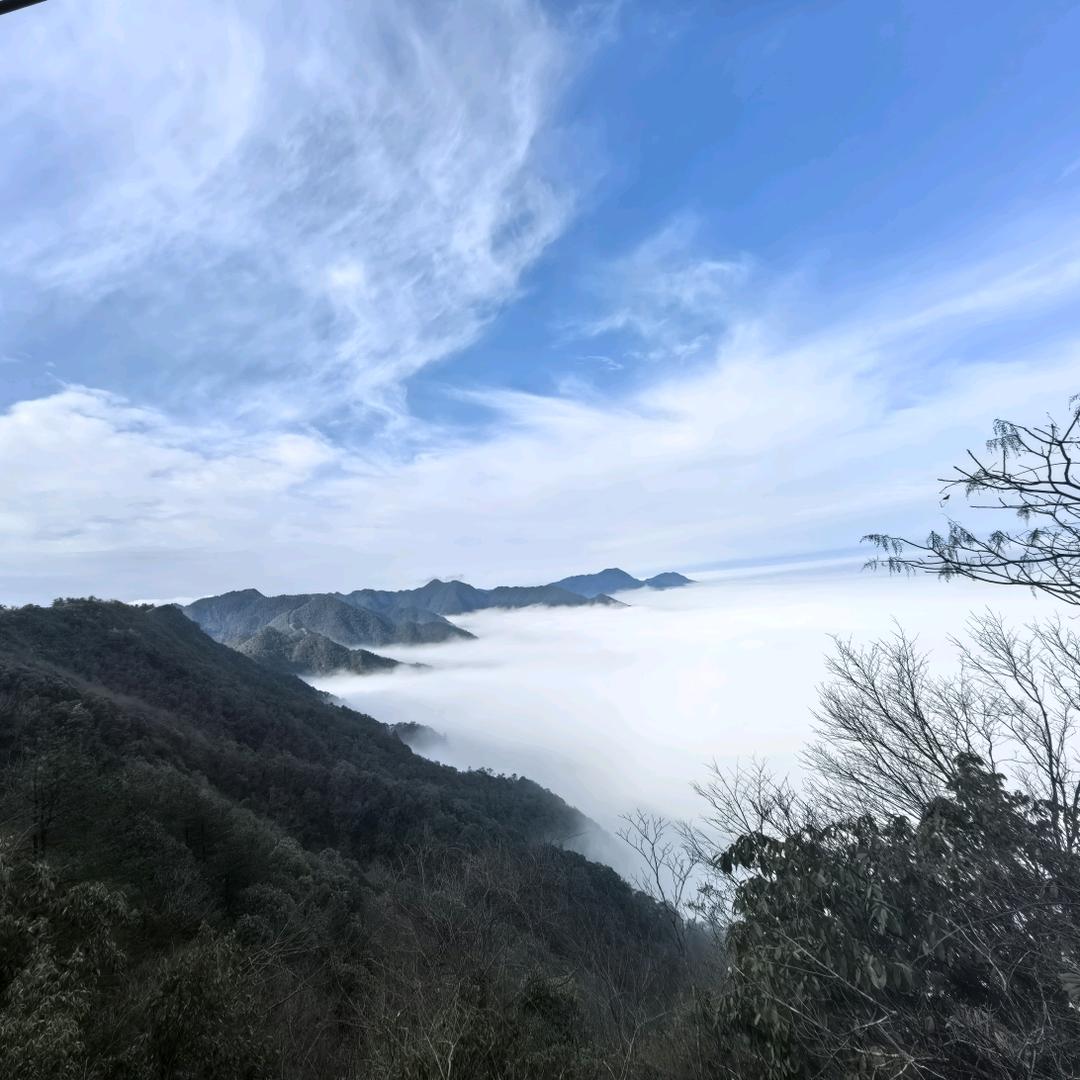 凡&兜