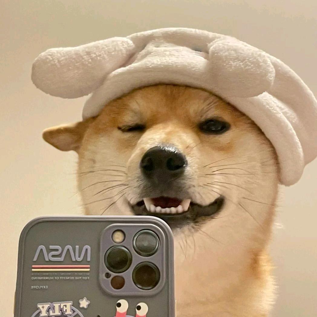 好像见过你