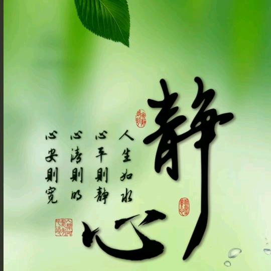 《如愿》