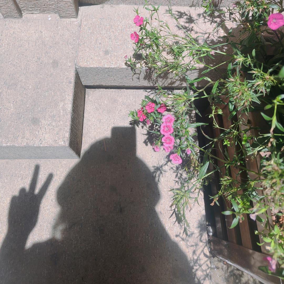 𓍯 しぴ鸢🦌𓂃.𓈒