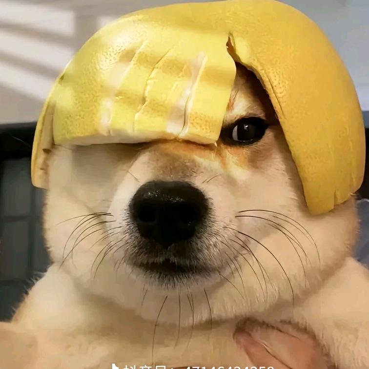 月亮与六便士