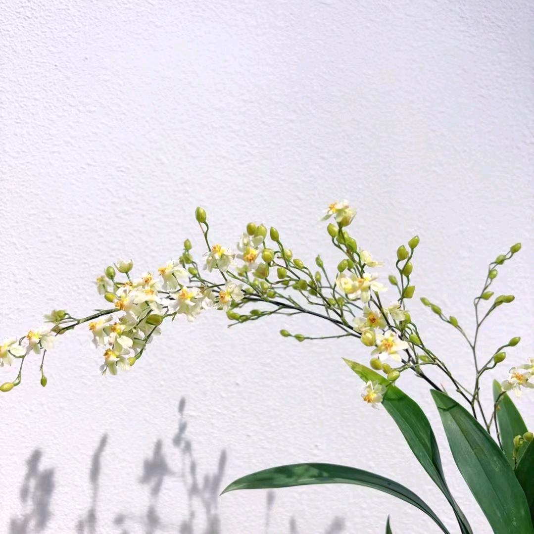 @桃你喜欢