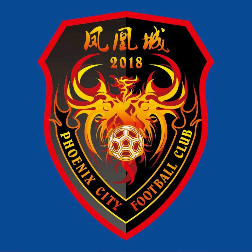 泰州市凤凰城球迷协会