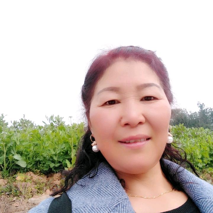 刘秀英