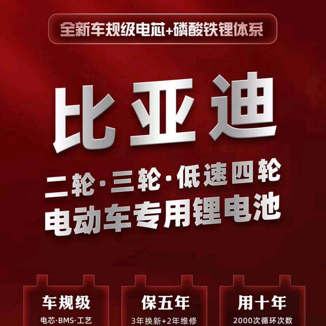 嘉诚锂电经营铺