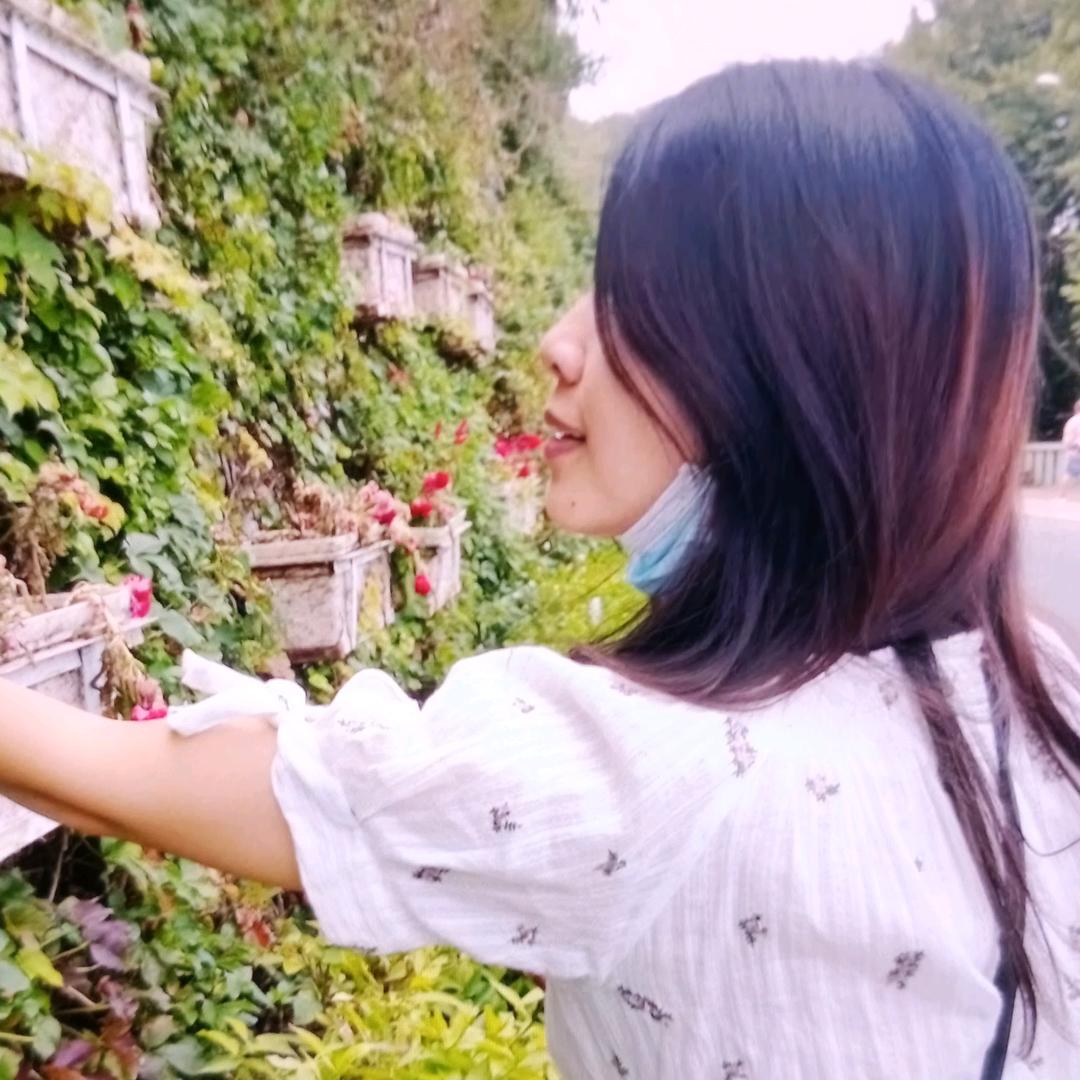 椰菜