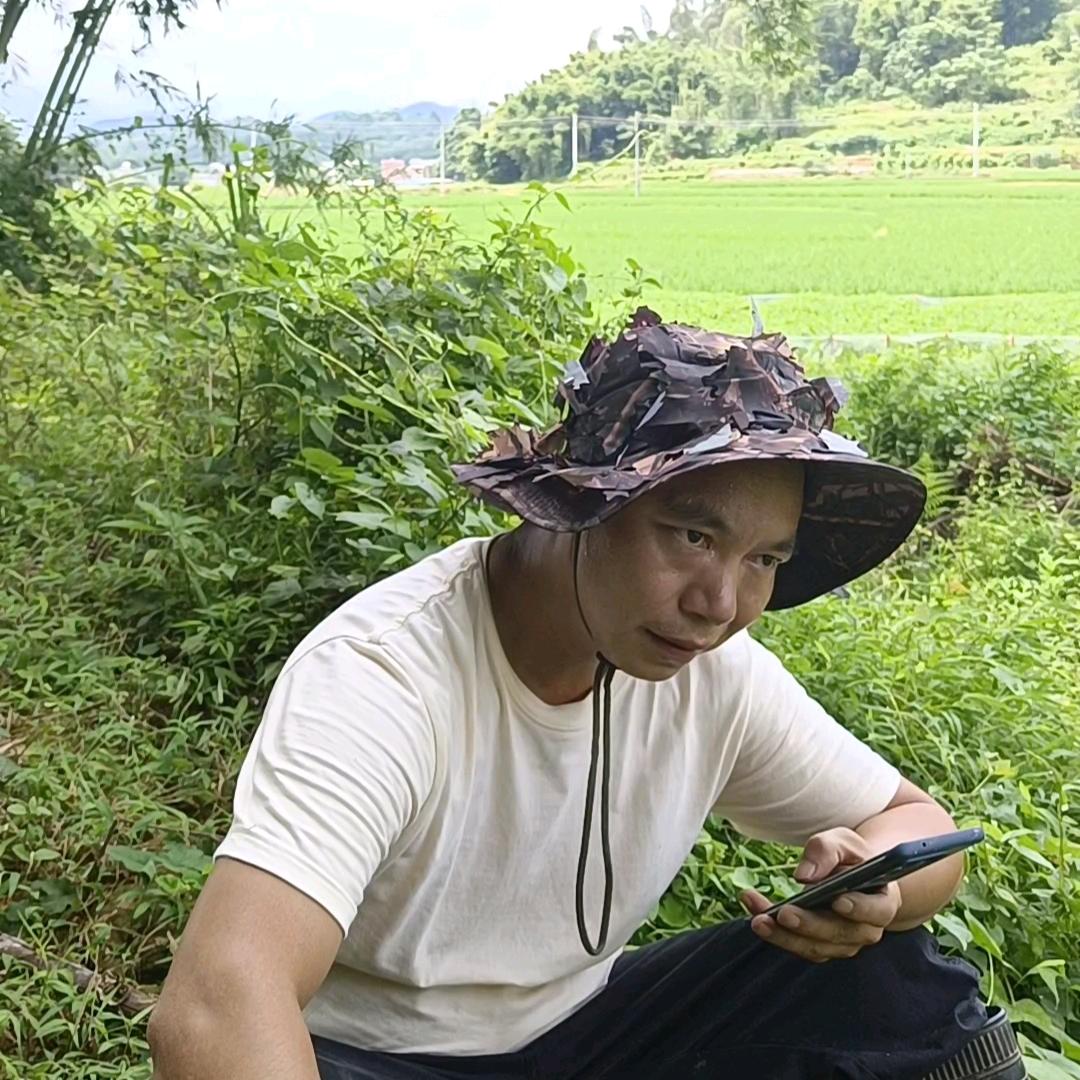 绿叶