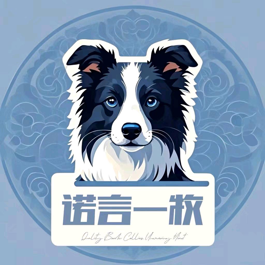 诺言一牧秀犬展示