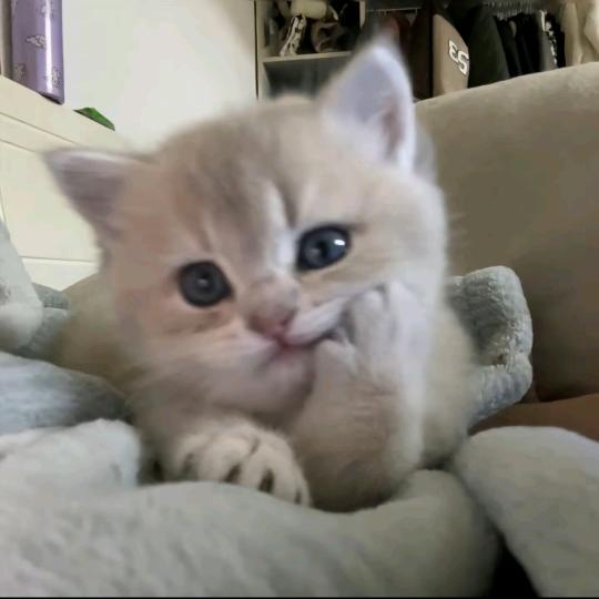 碗饭碗饭不是饭碗