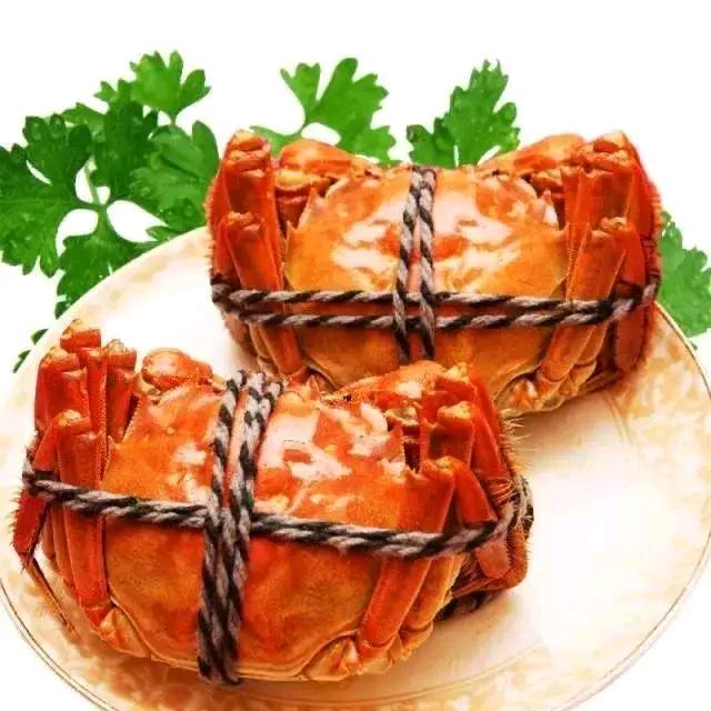 白月光