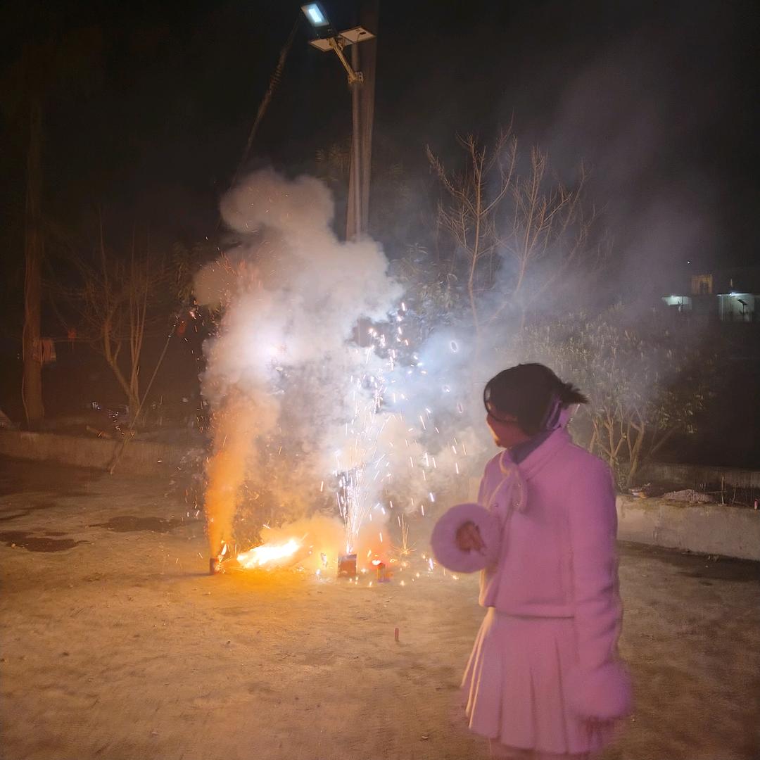 今天也想养只猫🐱