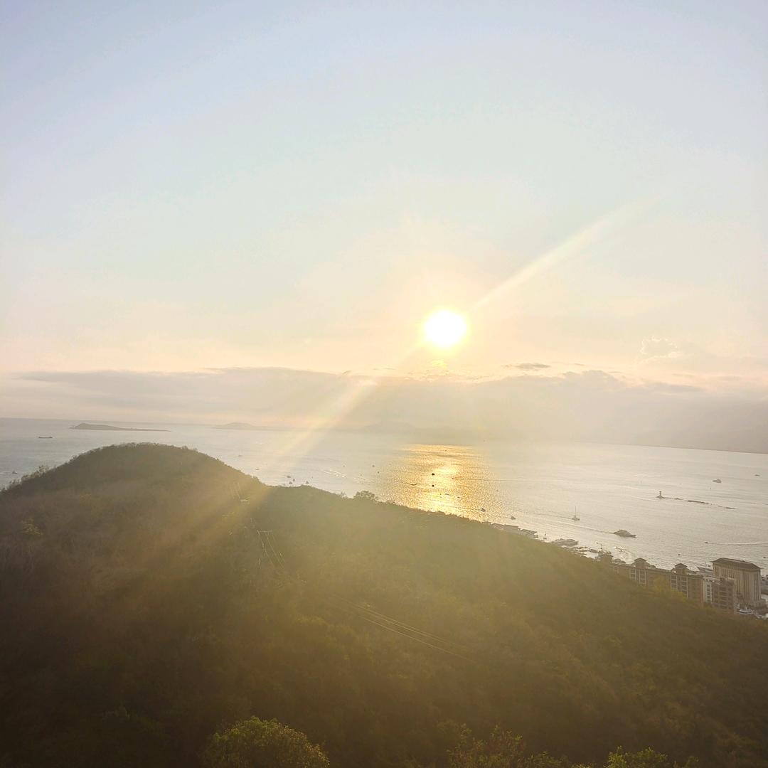 🌸༊归零꧔ꦿ᭄