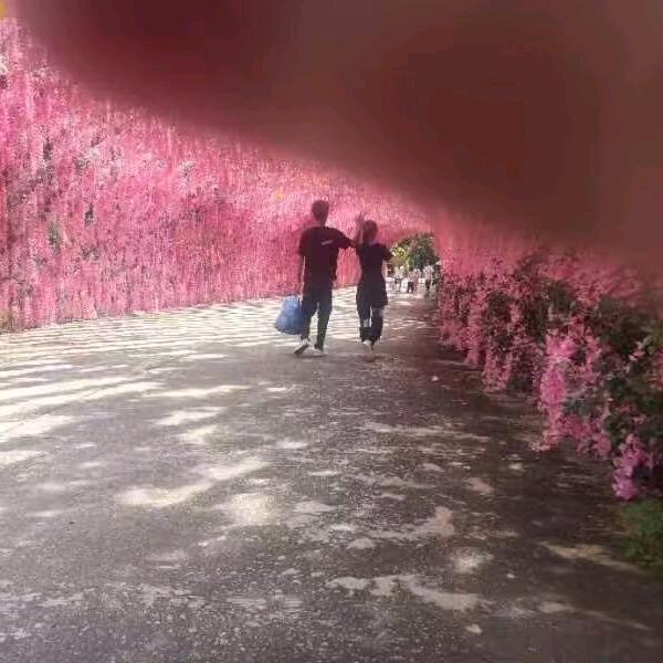 阿媛日常🌝🌚🌕