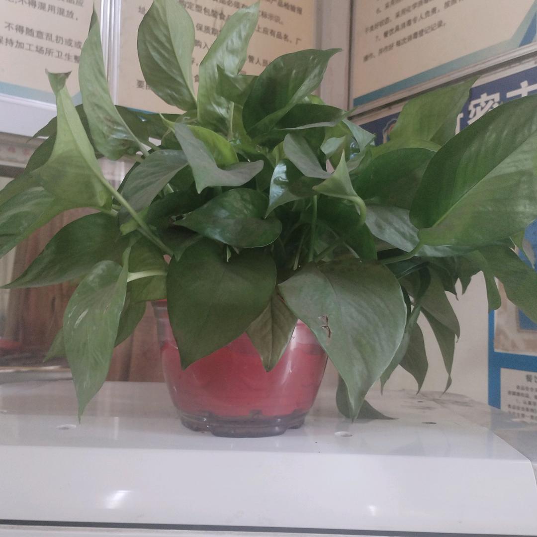 用户9142857450315快乐一生。