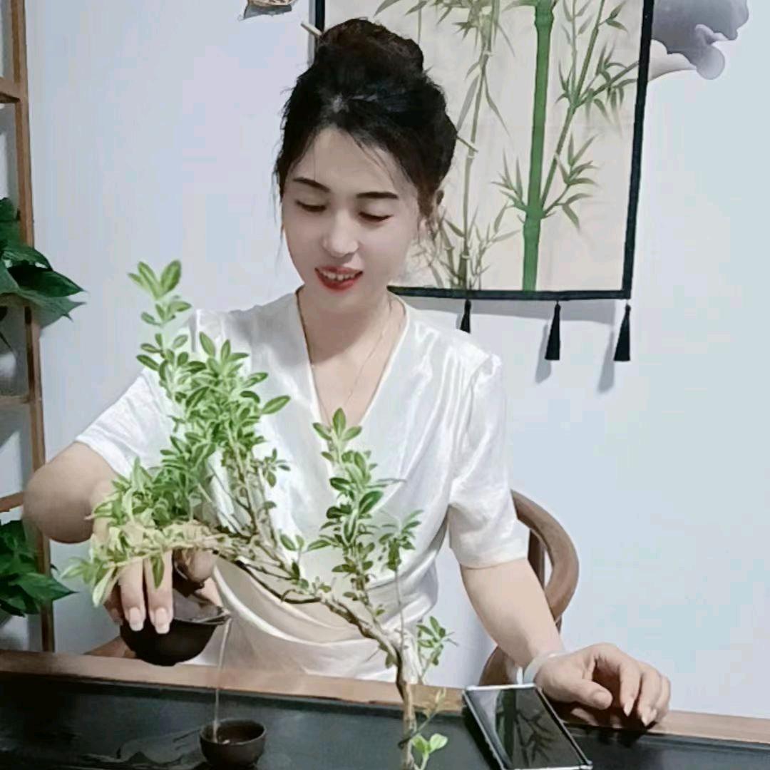 鲜花店 美容店