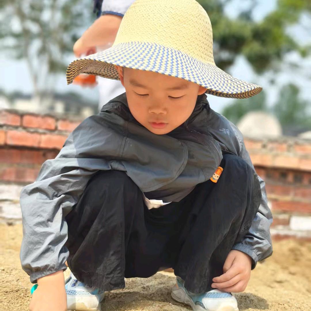 橙子的辰