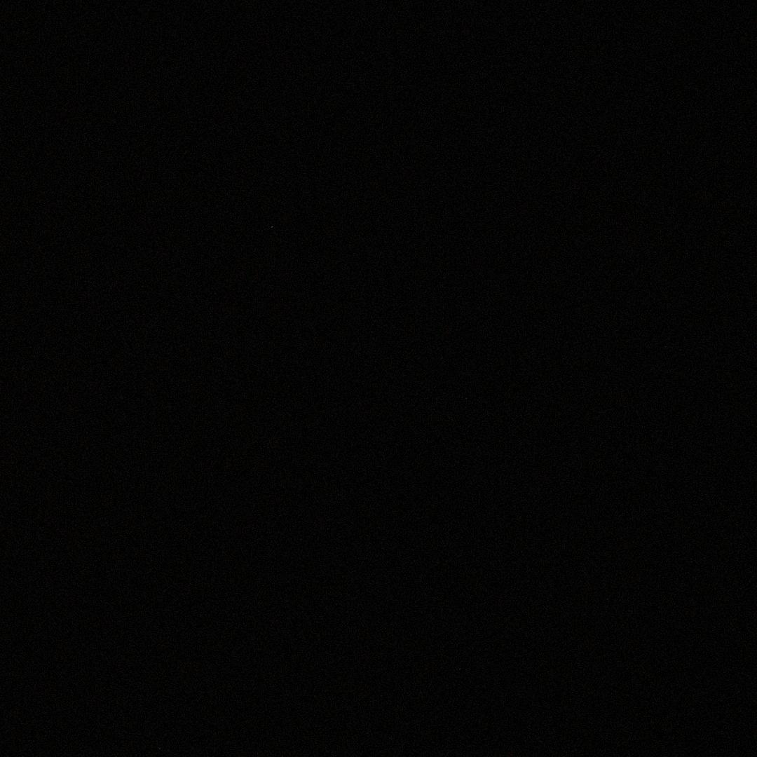 不能吃的芋圆🐾