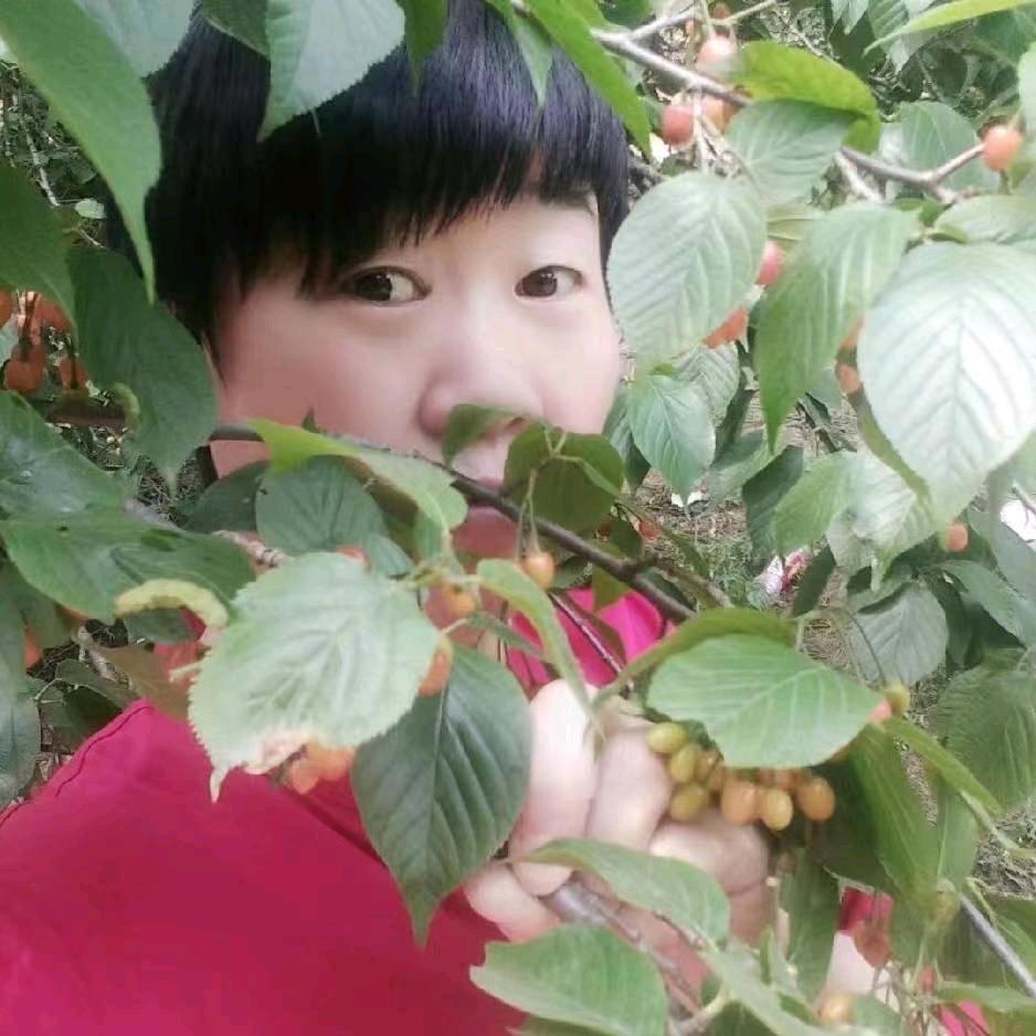 社旗凡姐（探店）