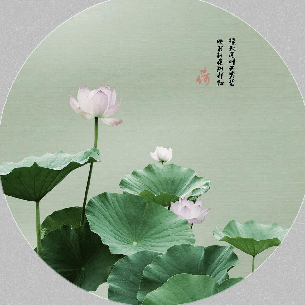 岁月静好♛