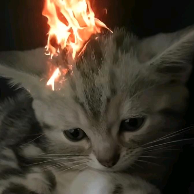 🆙