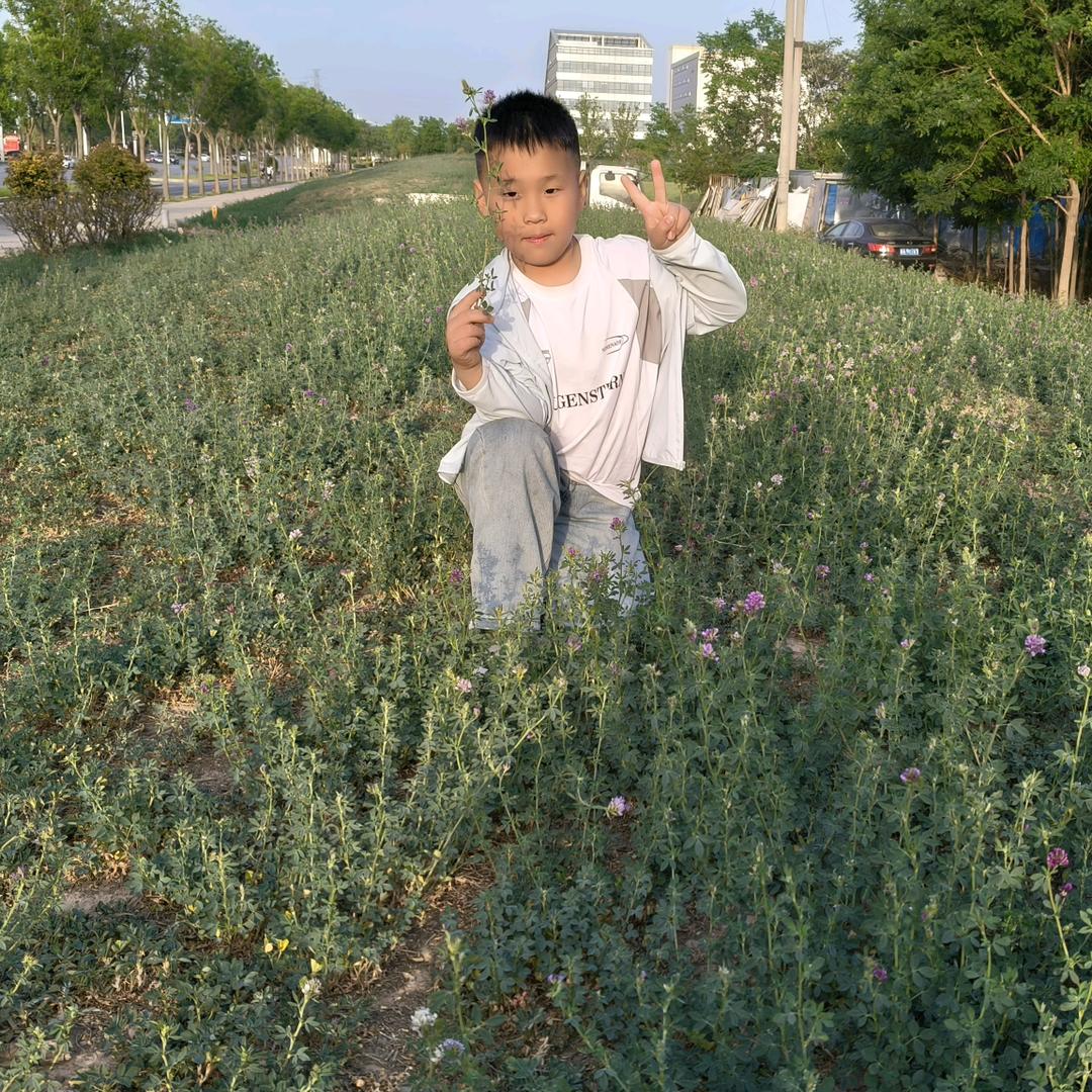 彭燃❤️动๑•́₃•̀2伐开心