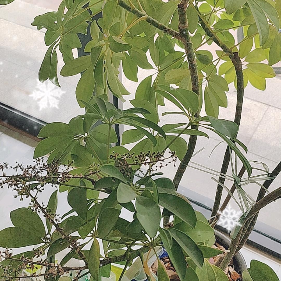 平步青云