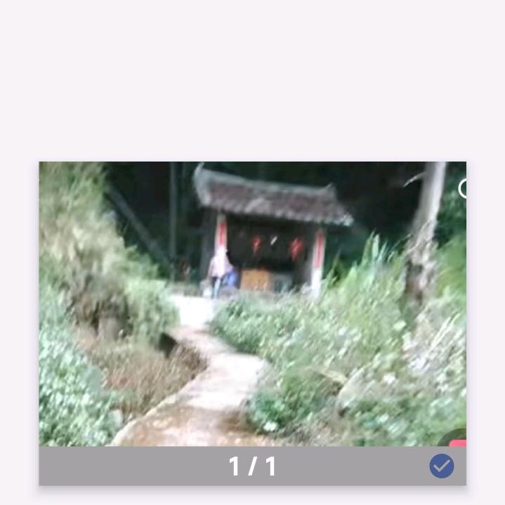 戴家九妹野生青草A