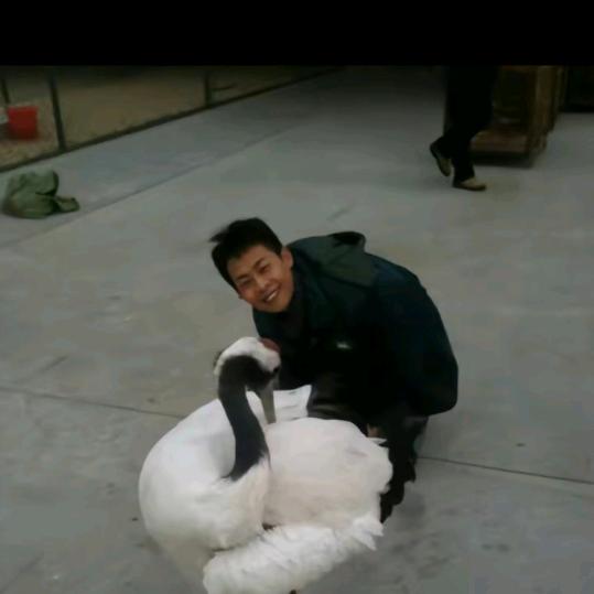 窝的胡子有点帅