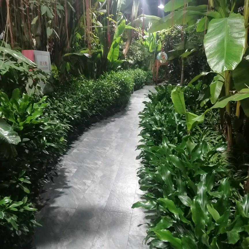 春暖花开&