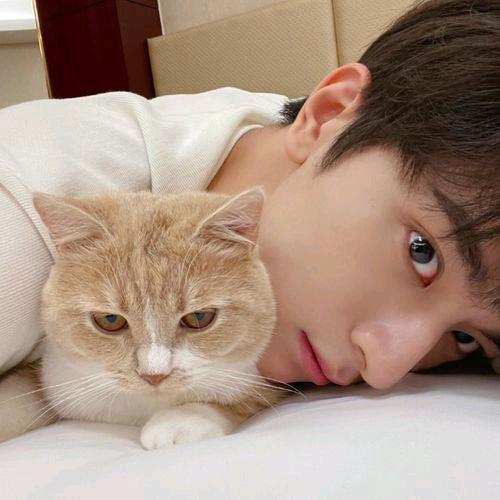 ♥小布丁