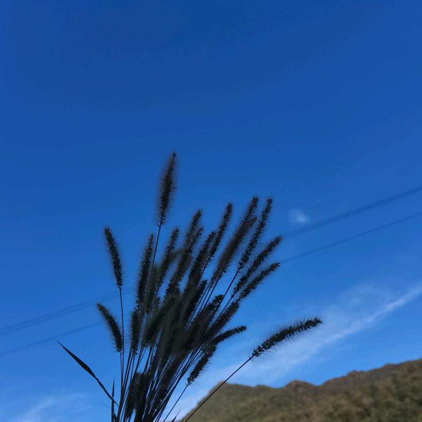 如果
