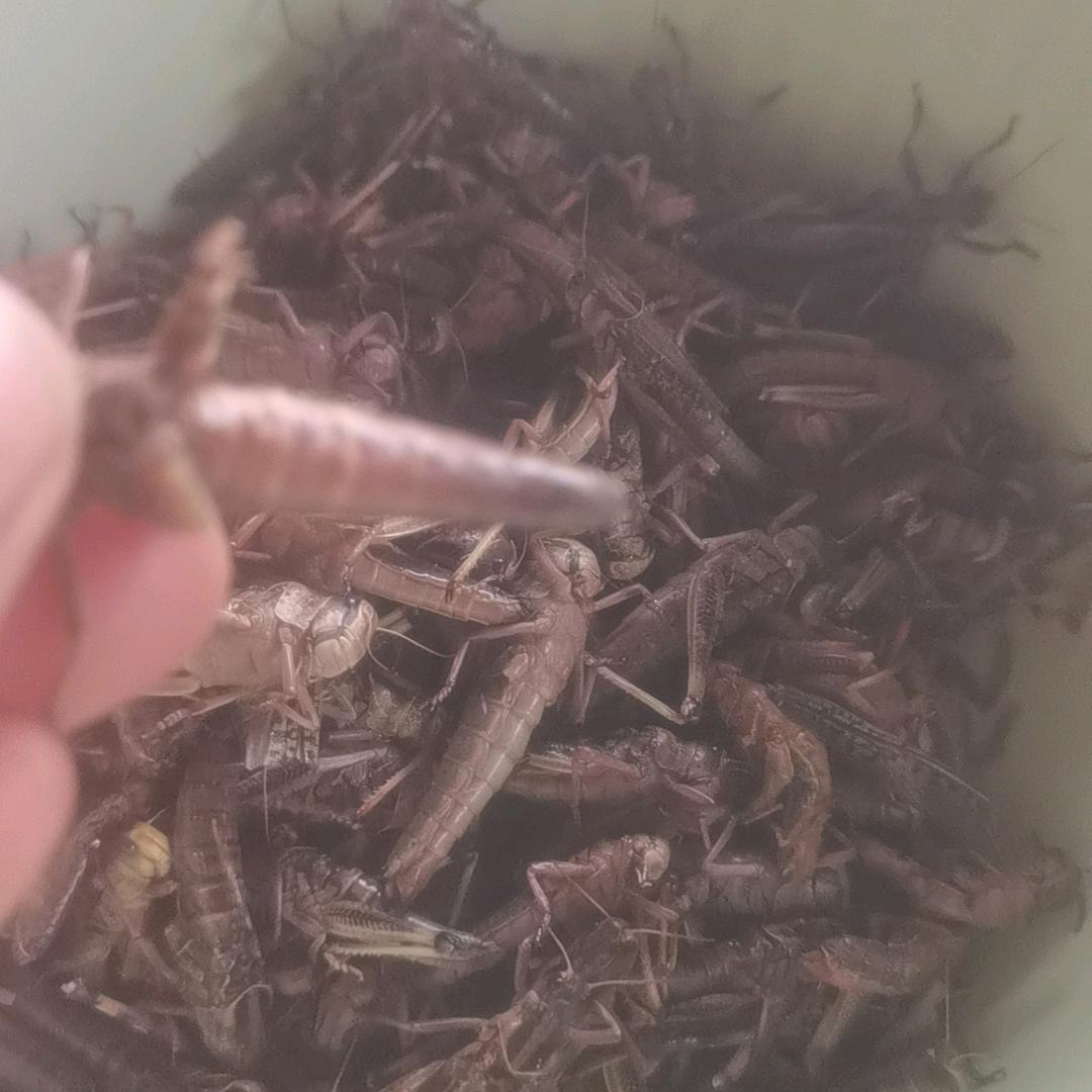 我是静静呀！！！！！！
